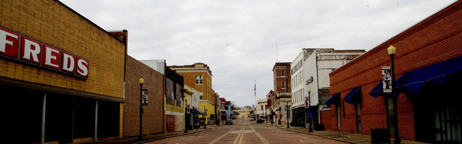Mississippi Laurel.jpg